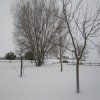 la grande nevicata del febbraio 2012 150